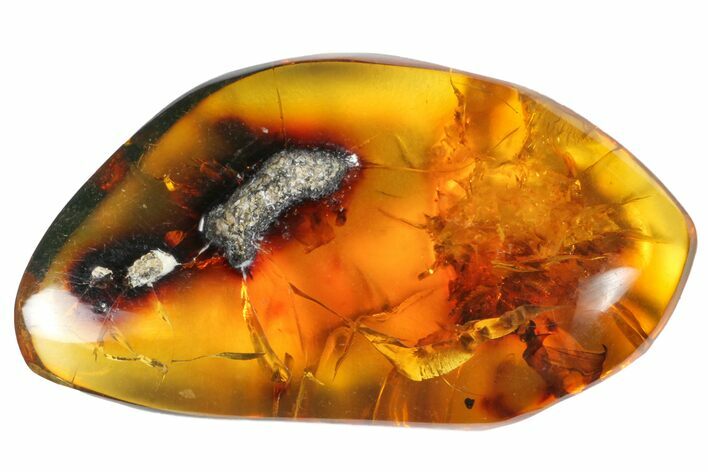 Polished Chiapas Amber ( g) - Mexico #114847